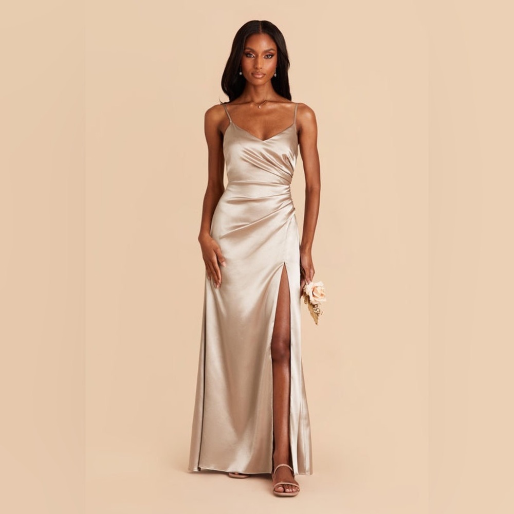 NWT Birdy Grey Catherine Shiny Satin Dress